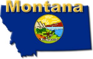 Montana State Flag